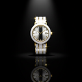 Fitron Men’s White Ceramic – Two Tone Gold & Scratchless Stone Bracelet Watch